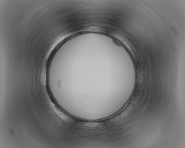 X0000112091131200909011059
