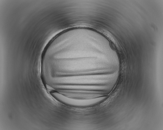 X0000112091132200909011059