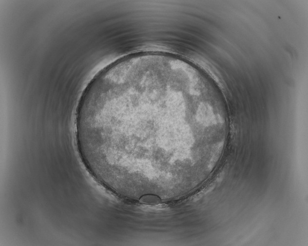 X0000112091133200909011059