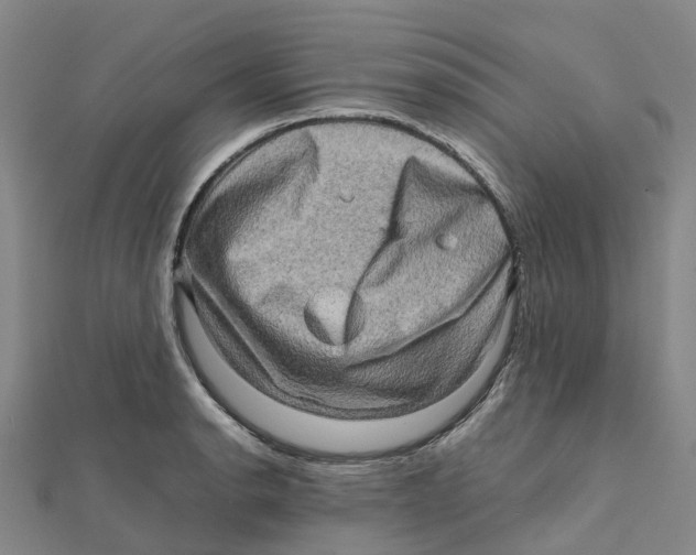 X0000112091134200909011059