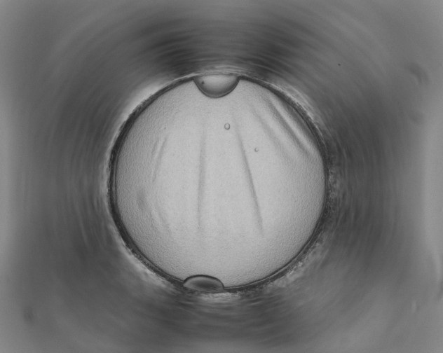 X0000112091135200909011059