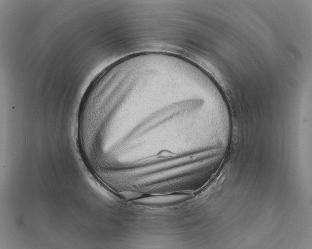 X0000112091136200909011059