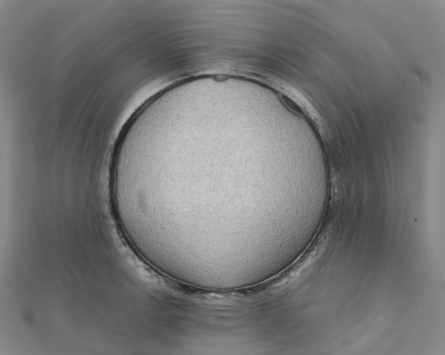 X0000112091138200909011059