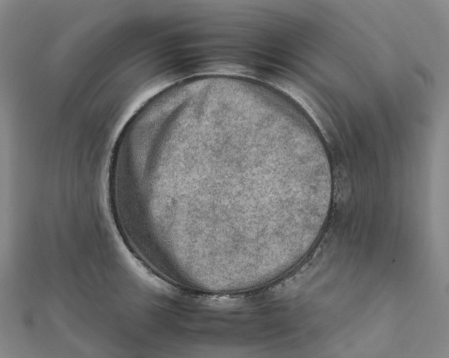 X0000112091139200909011059