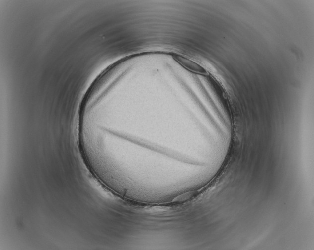 X0000112091140200909011059