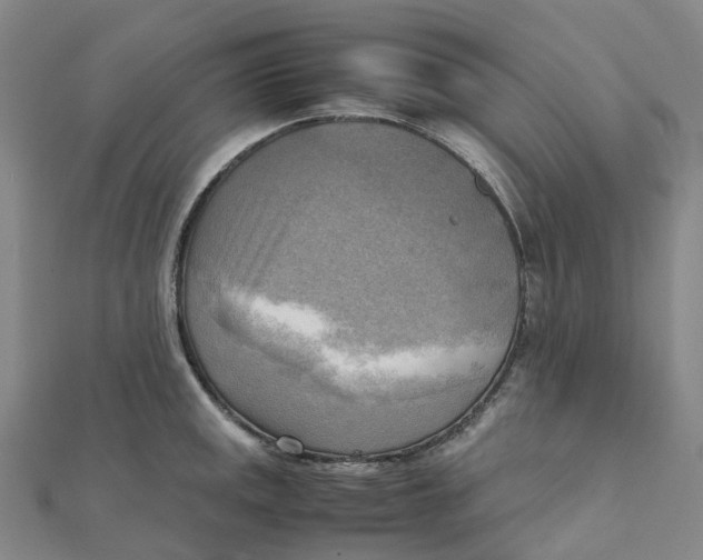 X0000112091141200909011059