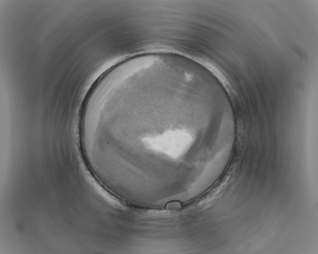 X0000112091142200909011059