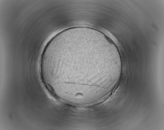 X0000112091144200909011059