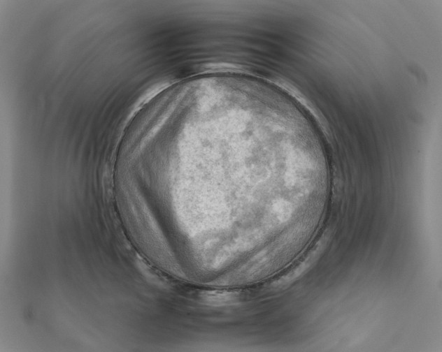 X0000112091145200909011059