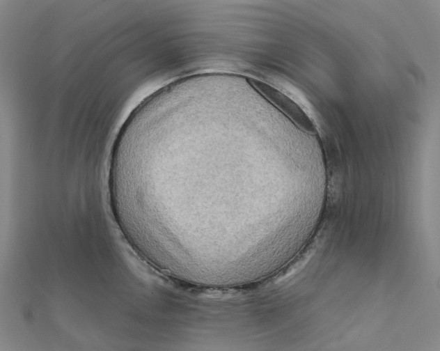 X0000112091146200909011059
