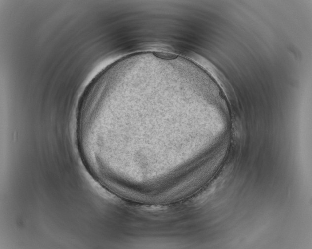 X0000112091147200909011059