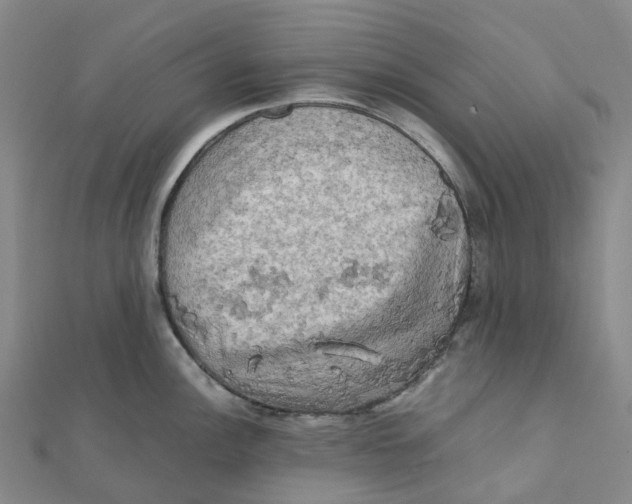 X0000112091148200909011059