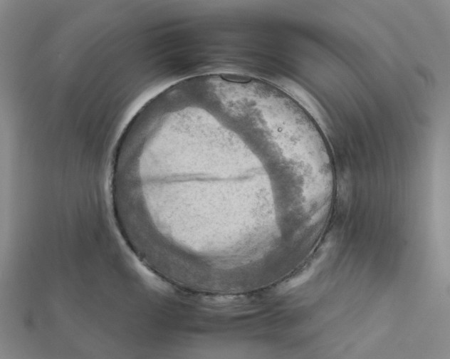 X0000112091149200909011059