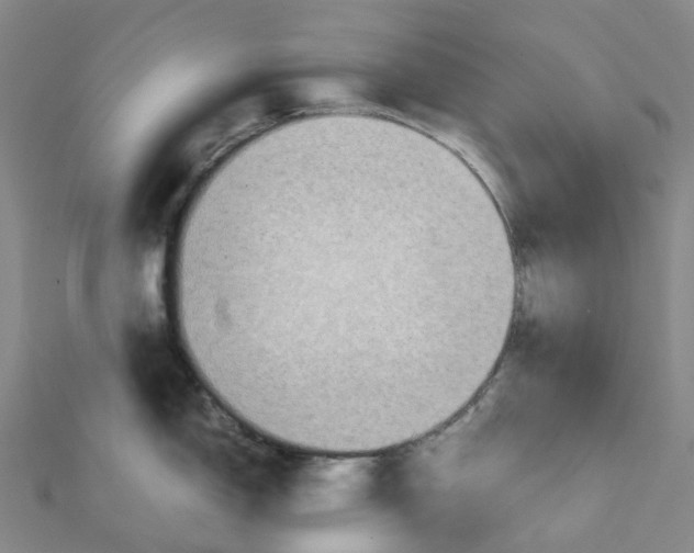 X0000112091150200909011059