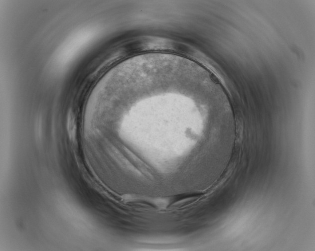 X0000112091151200909011059
