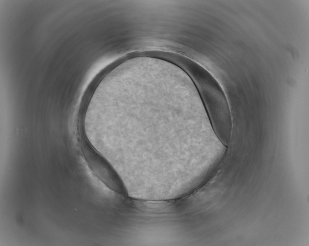 X0000112091152200909011059