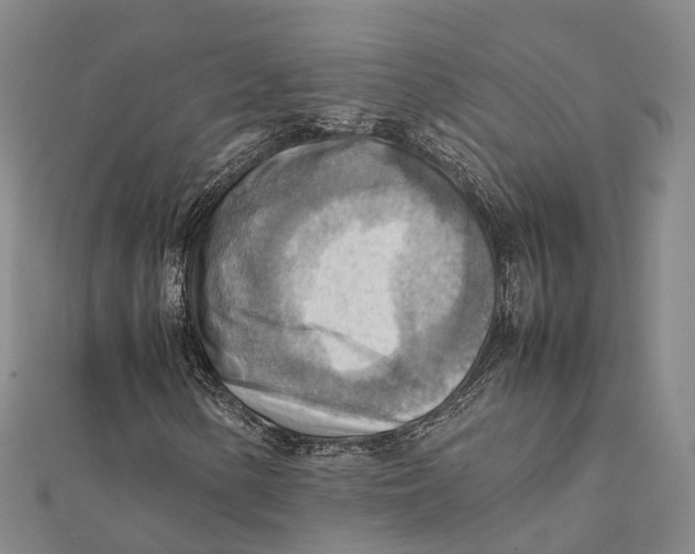 X0000112091154200909011058