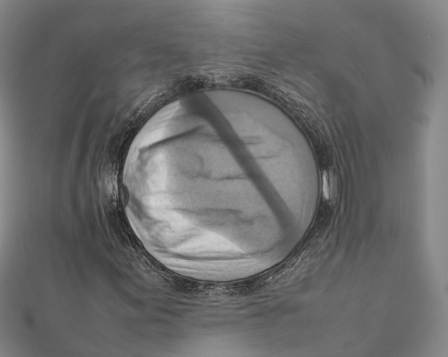 X0000112091155200909011058