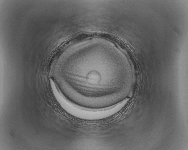 X0000112091157200909011058