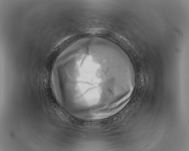 X0000112091158200909011058
