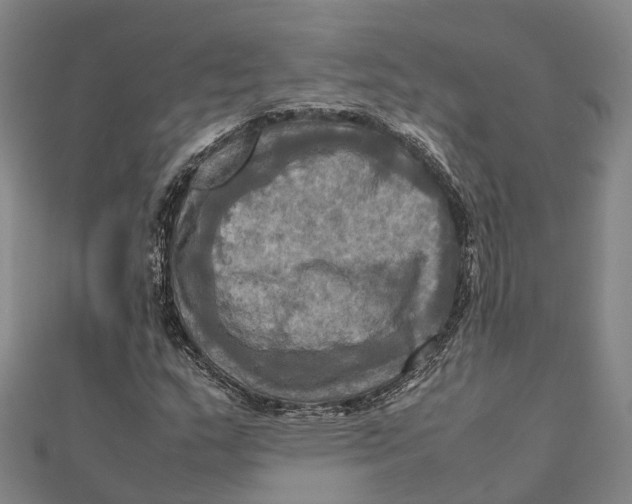 X0000112091159200909011058