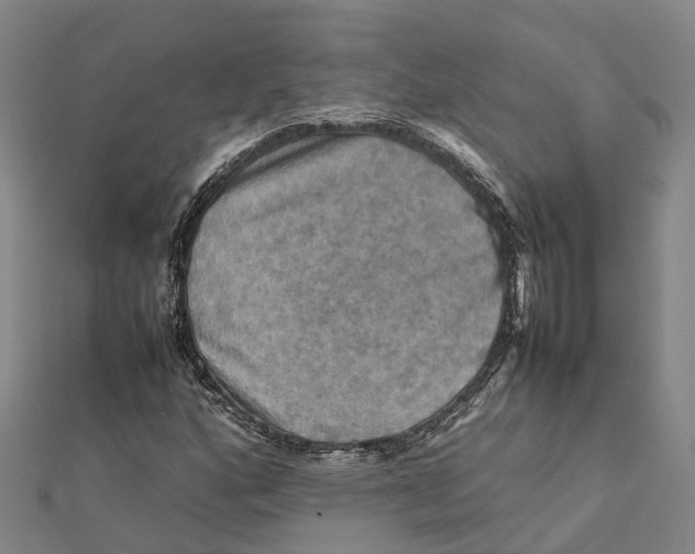 X0000112091160200909011058