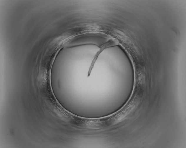 X0000112091161200909011058