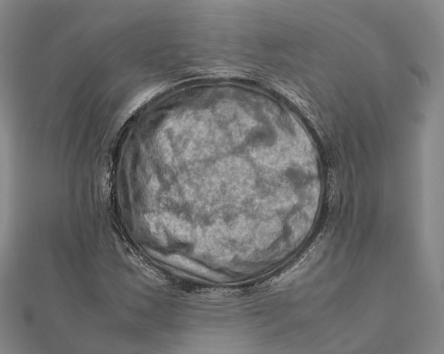 X0000112091163200909011058