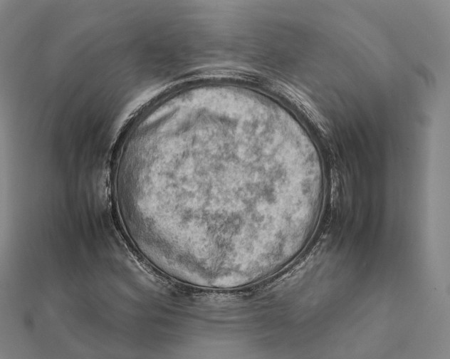 X0000112091164200909011058