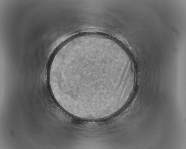 X0000112091167200909011058
