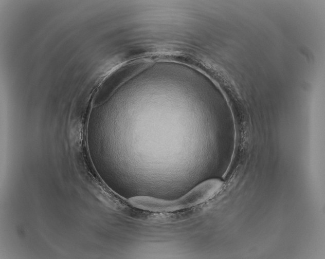 X0000112091169200909011058