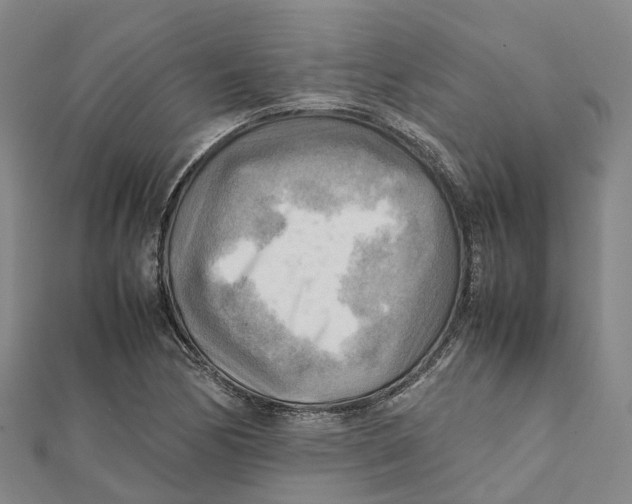 X0000112091170200909011058