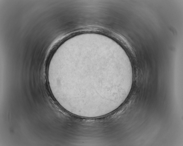 X0000112091172200909011058