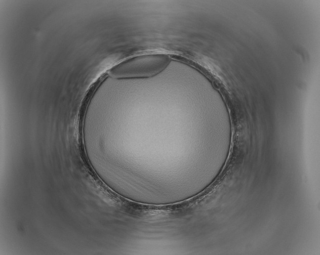 X0000112091173200909011058