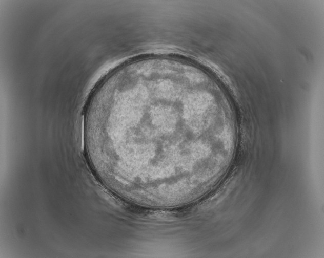 X0000112091175200909011058