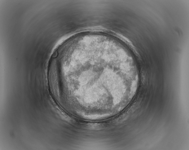 X0000112091176200909011058