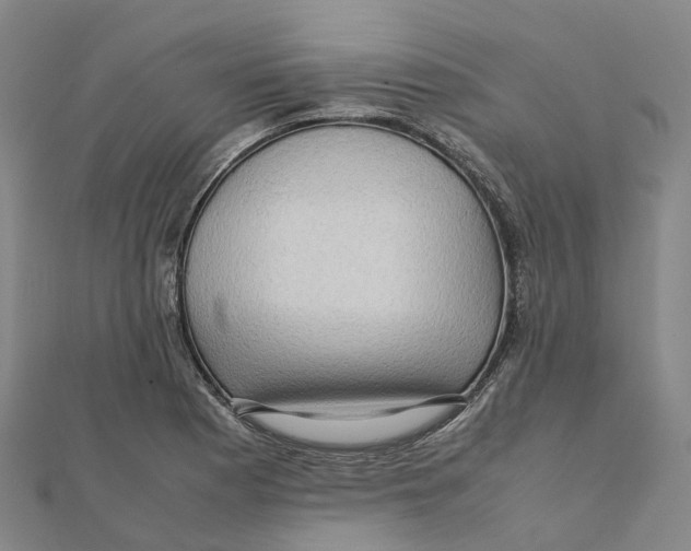 X0000112091177200909011058