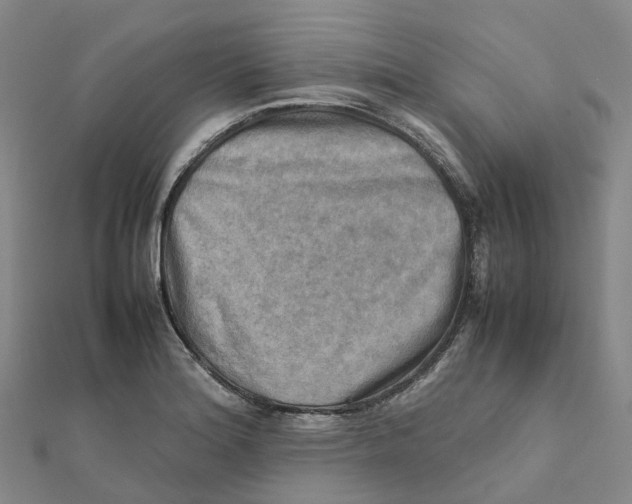 X0000112091180200909011058