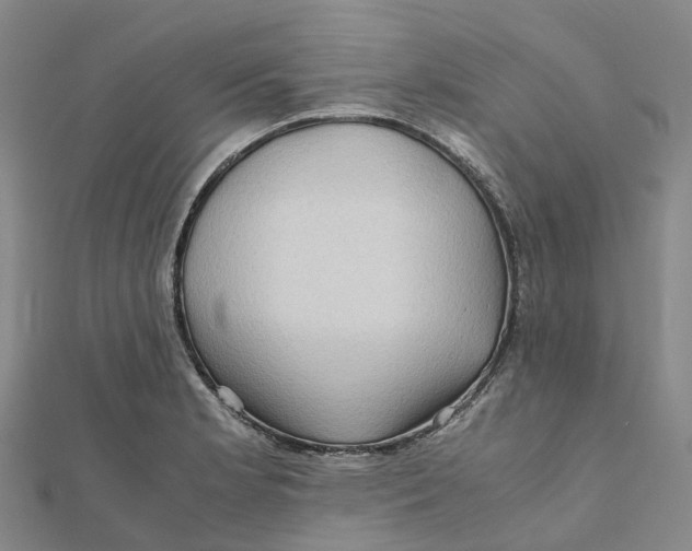 X0000112091181200909011058