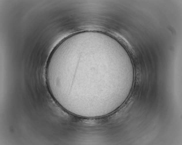 X0000112091182200909011058