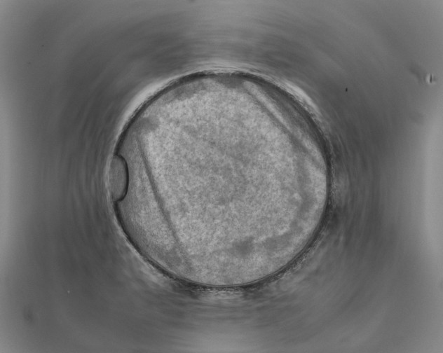 X0000112091183200909011058