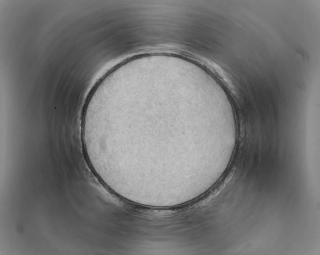 X0000112091184200909011058