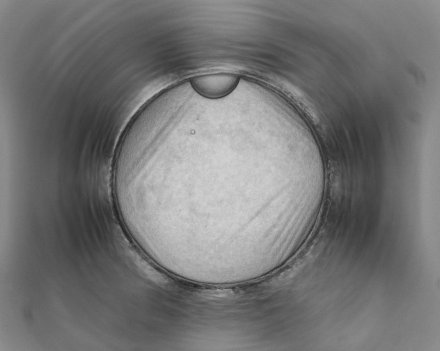 X0000112091186200909011058