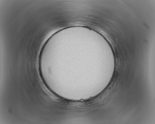 X0000112091187200909011058
