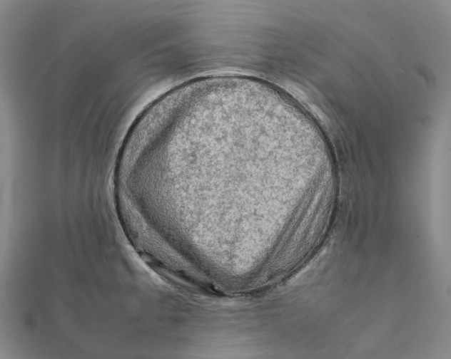 X0000112091189200909011058
