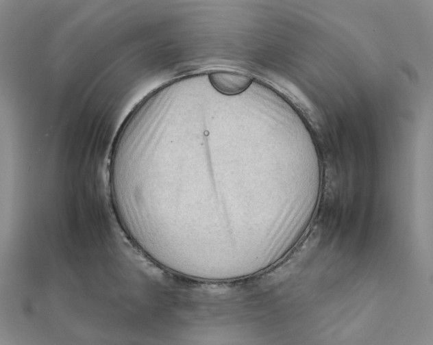 X0000112091190200909011058