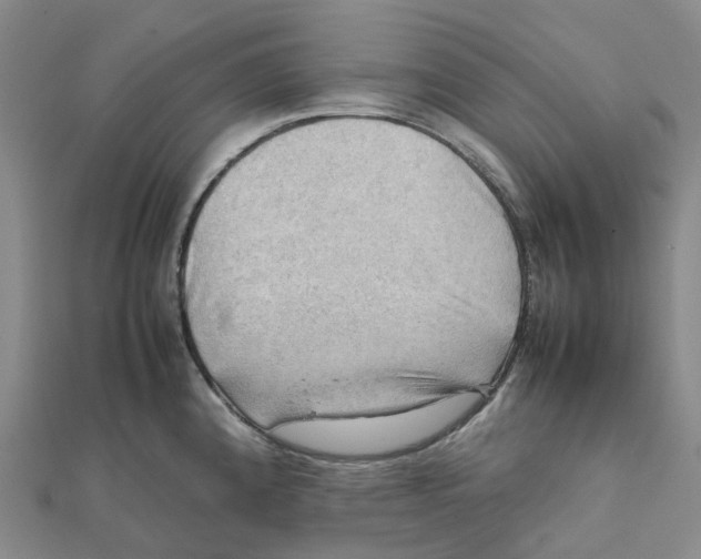 X0000112091192200909011058