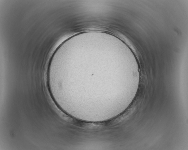 X0000112091195200909011058