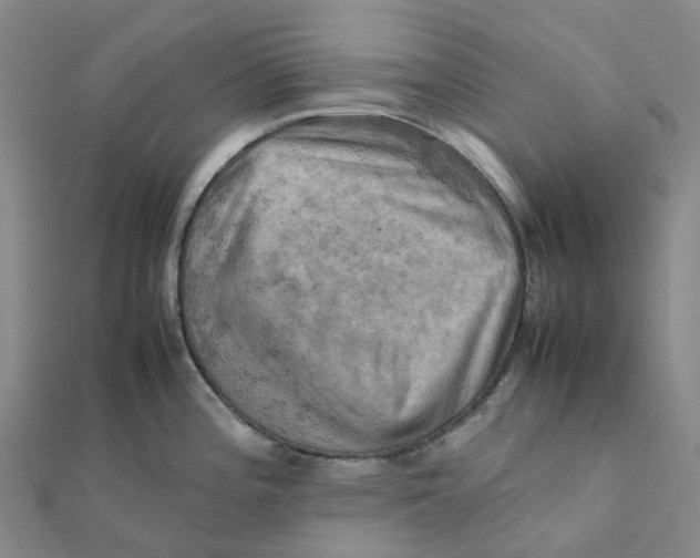 X0000112091196200909011058