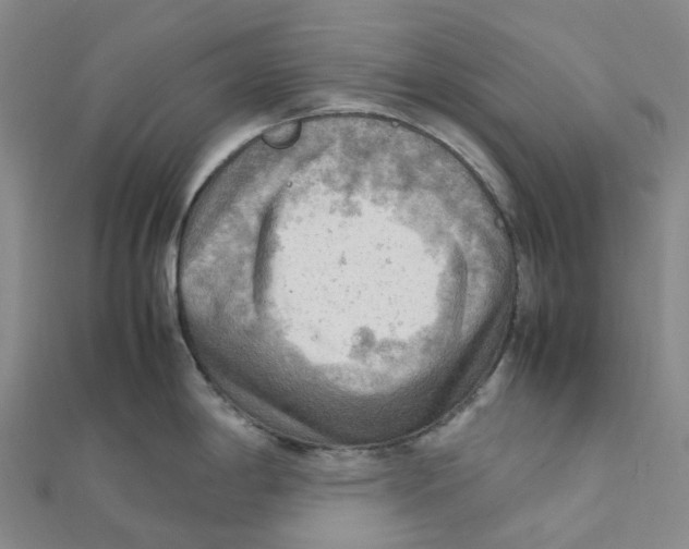 X0000112091198200909011058